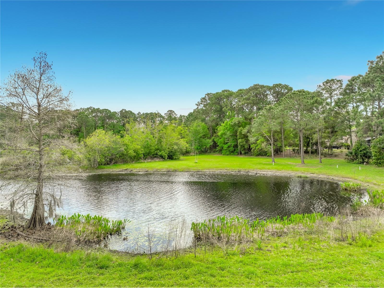 949 Pickfair Terrace Lake Mary FL 32746 - LAKE DAWSON O6392884 image50