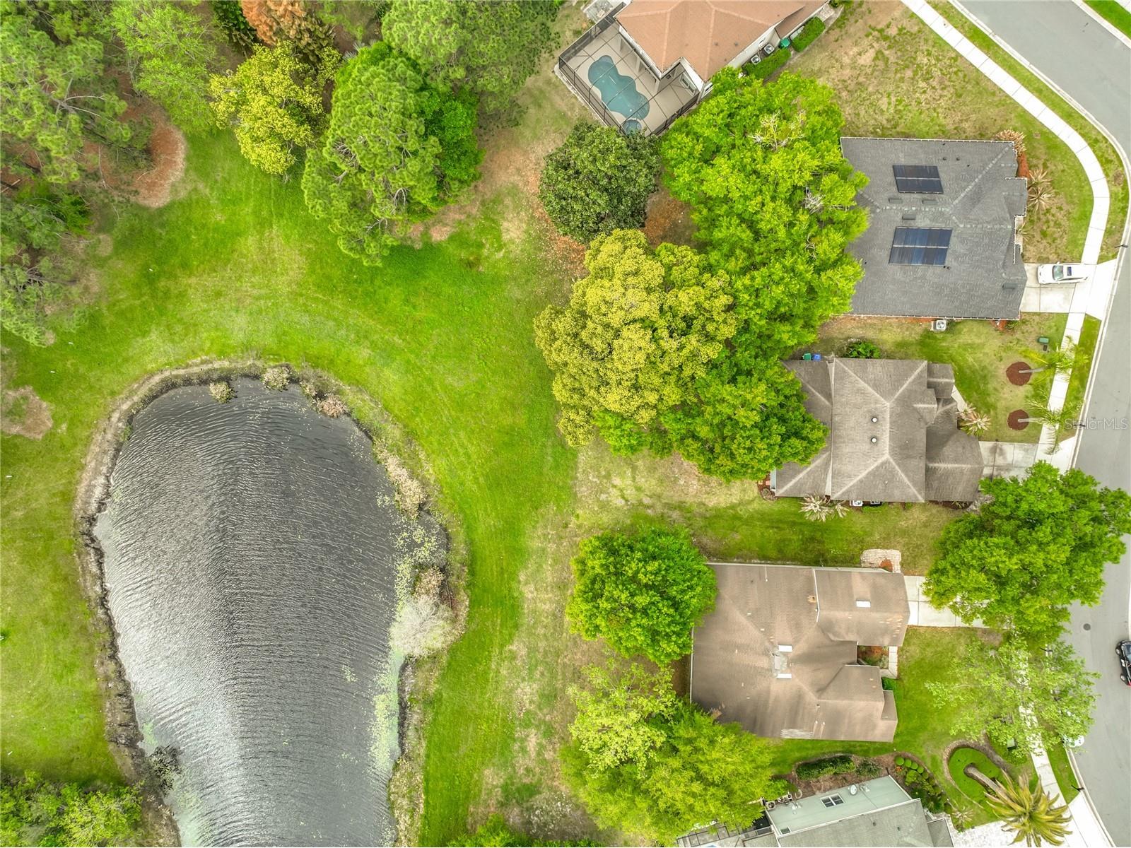 949 Pickfair Terrace Lake Mary FL 32746 - LAKE DAWSON O6392884 image52