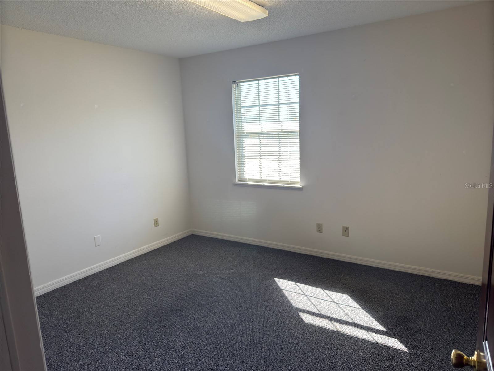 949 Tamiami Trail #102 Port Charlotte FL 33953 C7526450 image6