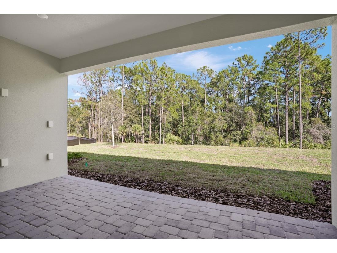 949 Tassleflower Trail Saint Cloud FL 34771 O6339702 image28