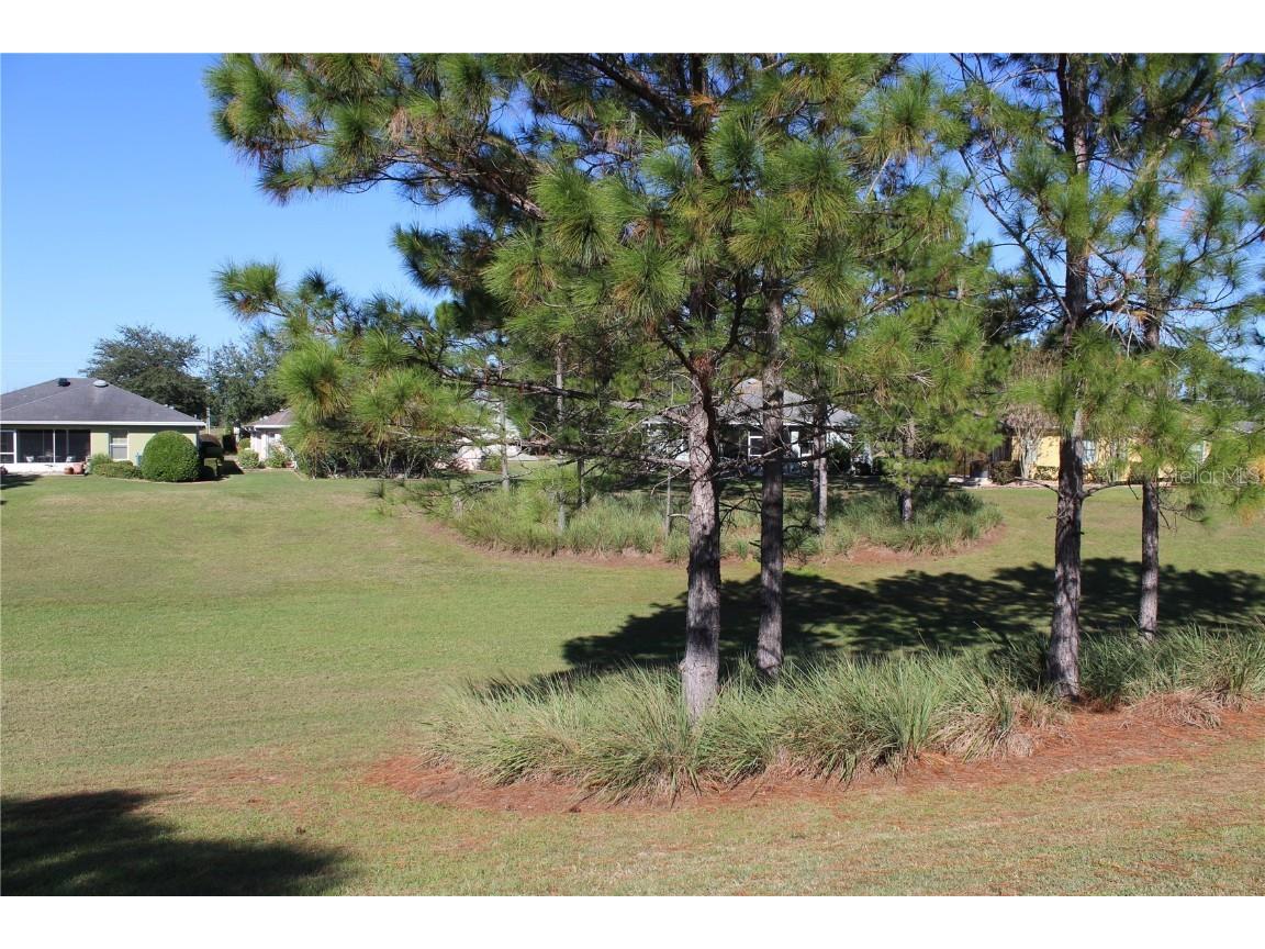 9490 SW 94th Court Ocala FL 34481 OM712966 image5