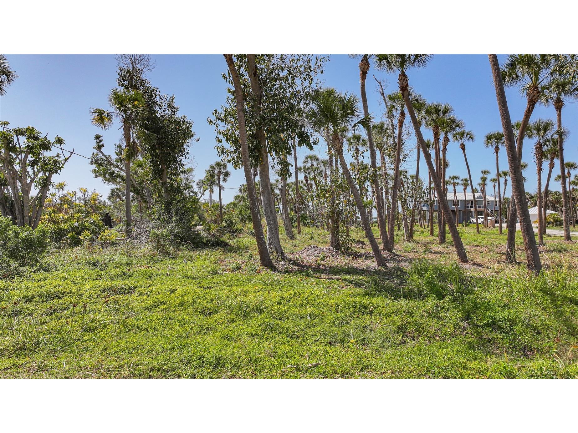 9491 & 9499 Downing Street Englewood FL 34224 - LEMON BAY D6146544 image13