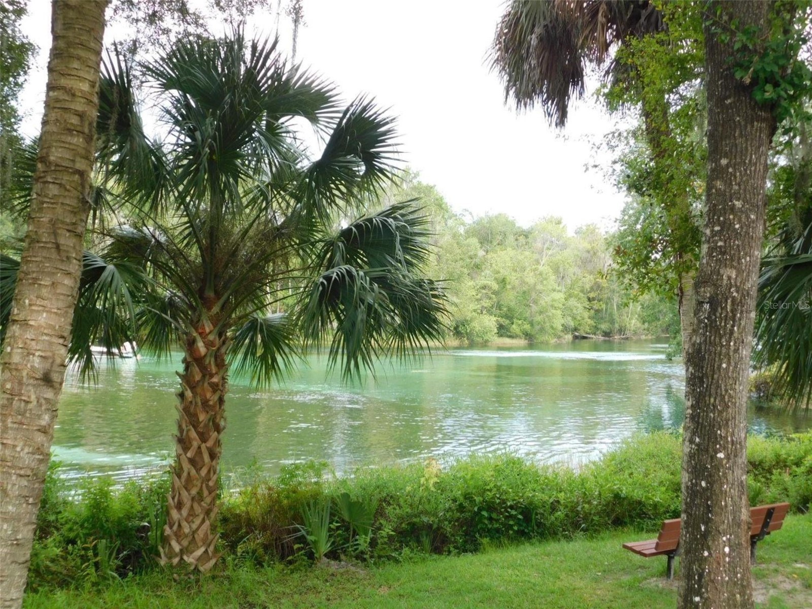 9491 SW 200th Court Dunnellon FL 34431 OM728171 image42