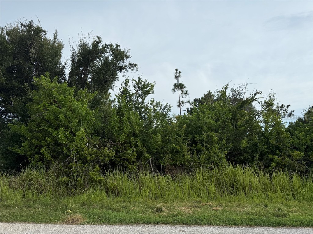 9491 Tacoma Avenue Englewood FL 34224 D6143050 image3