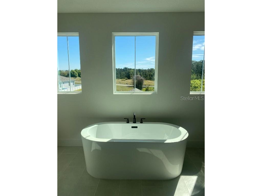 9493 Emerald Berry Drive Winter Garden FL 34787 O6325653 image12