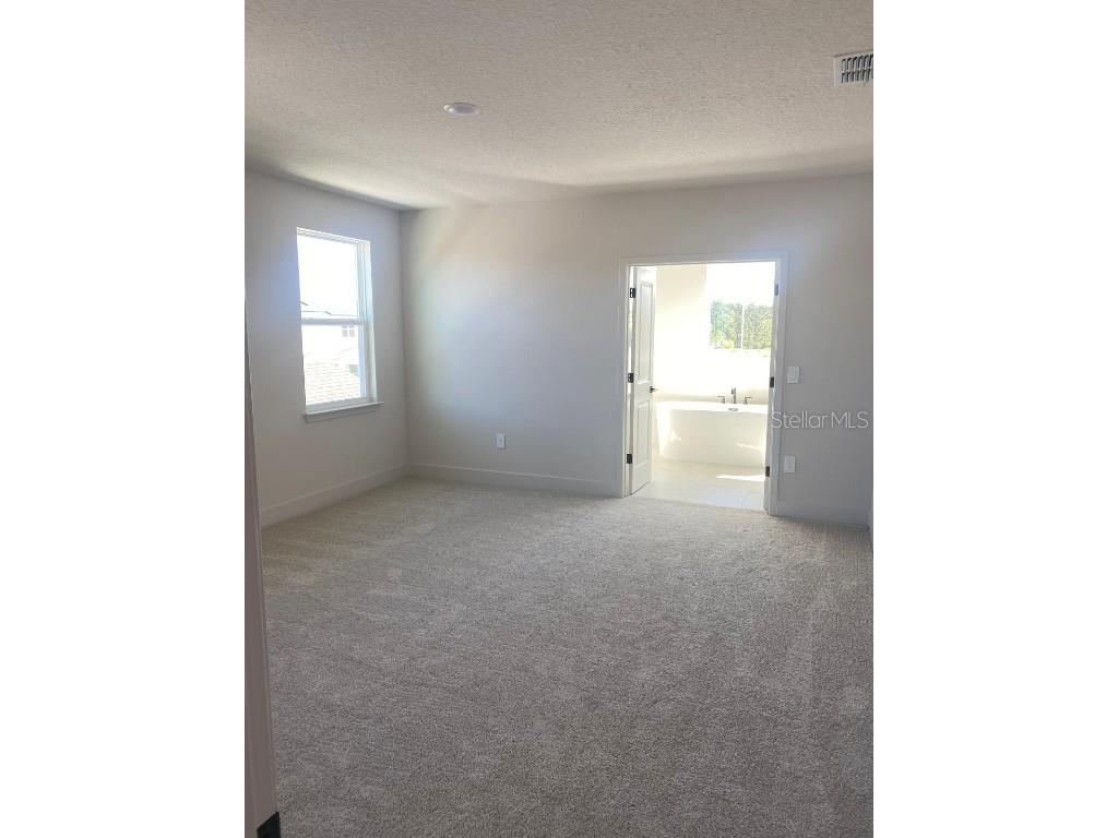 9493 Emerald Berry Drive Winter Garden FL 34787 O6325653 image4