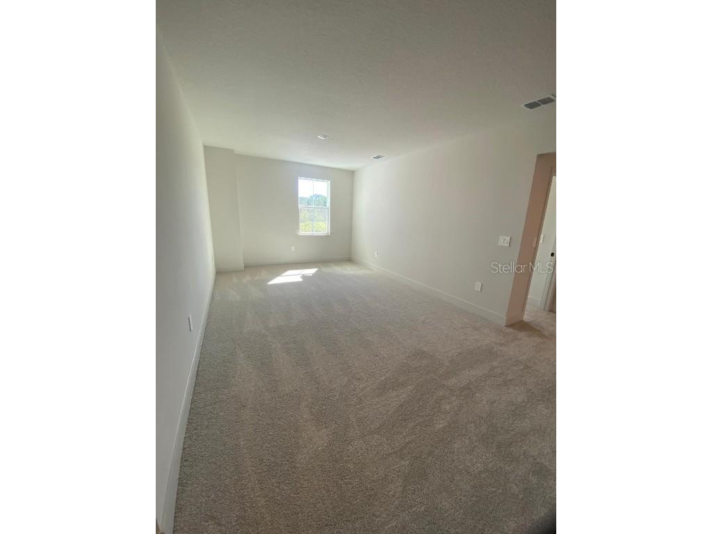 9493 Emerald Berry Drive Winter Garden FL 34787 O6325653 image8