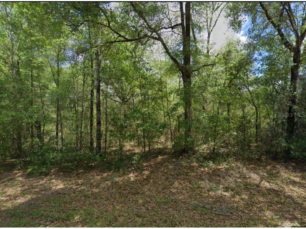 9493 N Agatha Drive Citrus Springs FL 34434 O6178270 image1