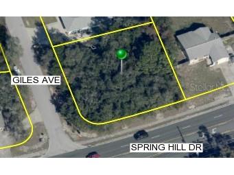 9493 Spring Hill Drive Spring Hill FL 34608 W7869619 image1