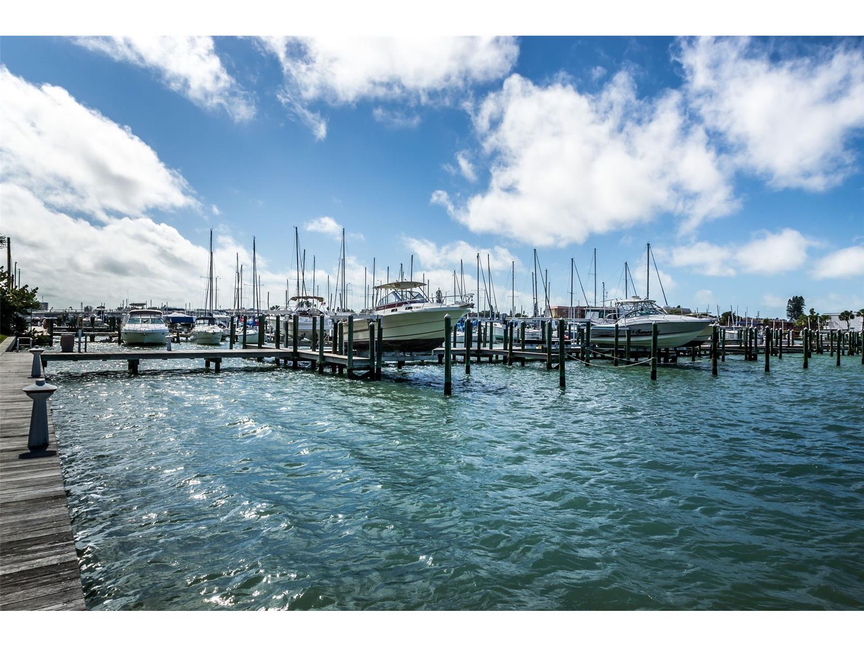 9495 Blind Pass Road #205 Saint Pete Beach FL 33706 - INTRACOASTAL WATERWAY TB8493761 image66