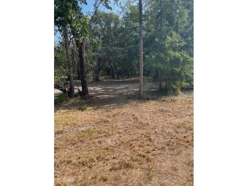 9495 May Gold Lane Spring Hill FL 34608 W7859003 image1