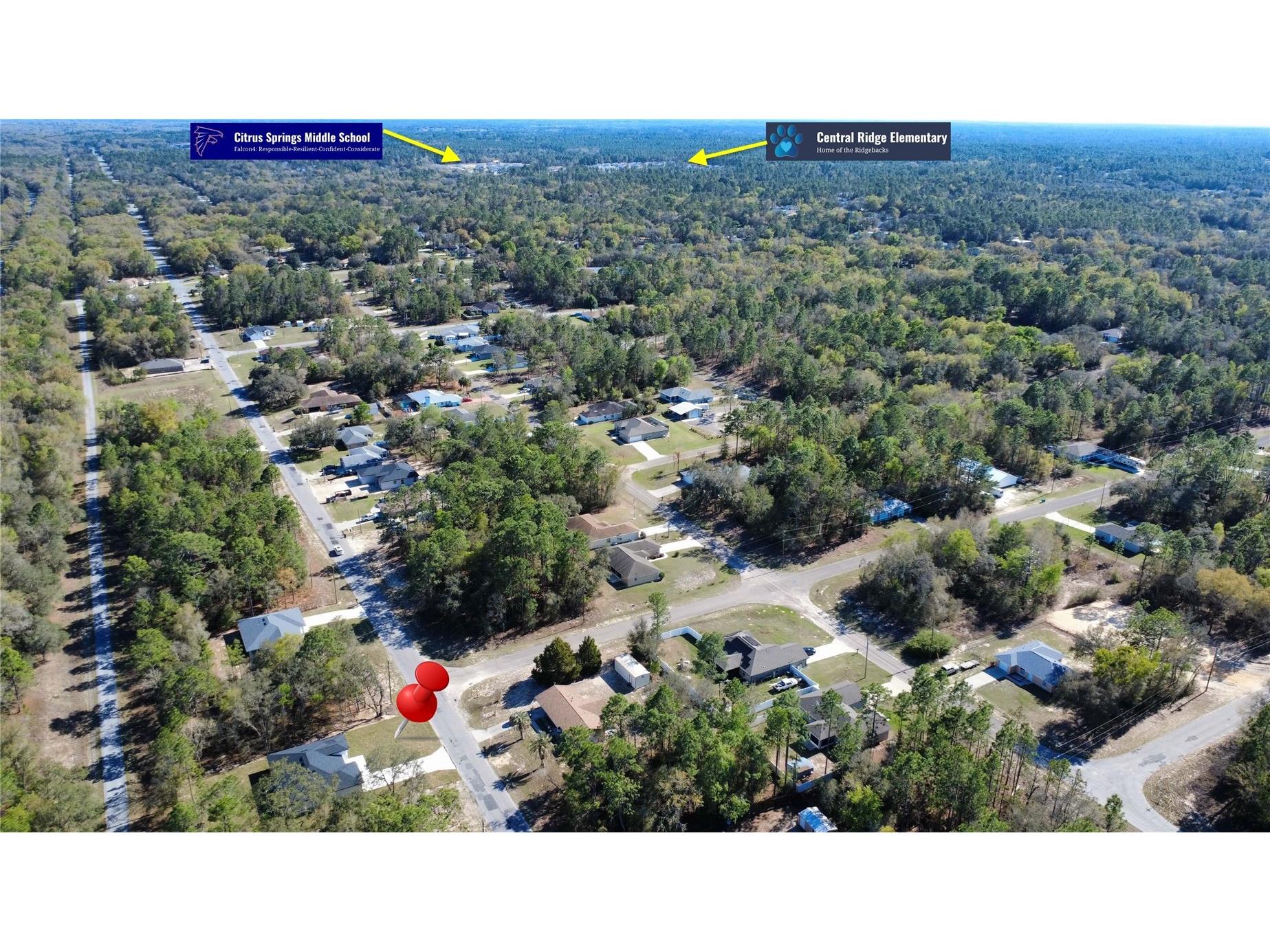 9495 N Sandree Drive Citrus Springs FL 34434 O6389381 image3