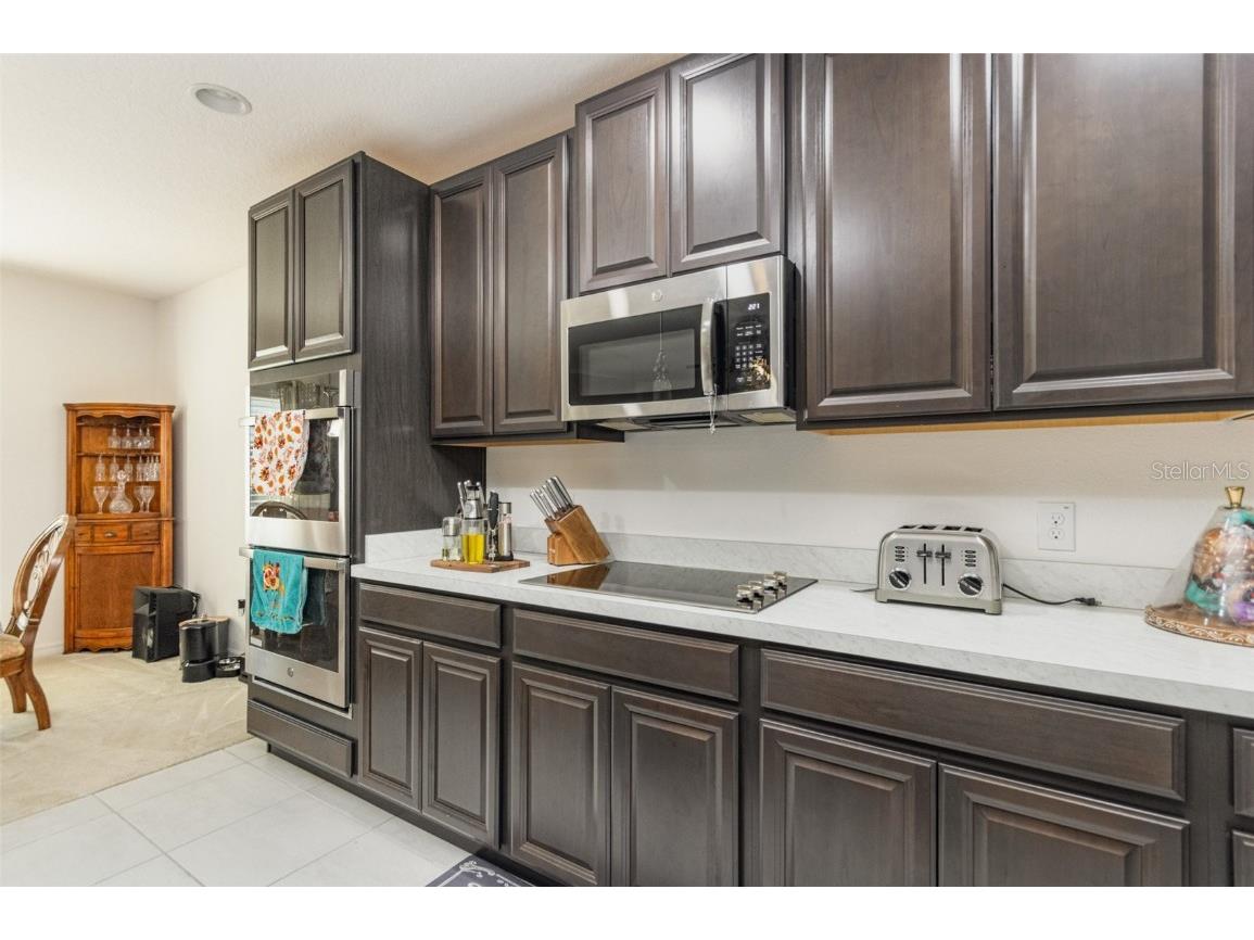 9495 Oglethorpe Drive Groveland FL 34736 G5104767 image6