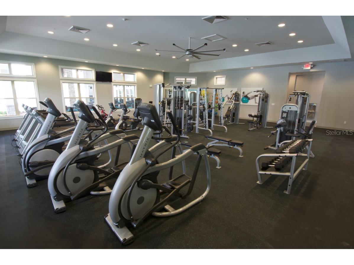 9496 Bauer Alley Winter Garden FL 34787 O6417010 image20