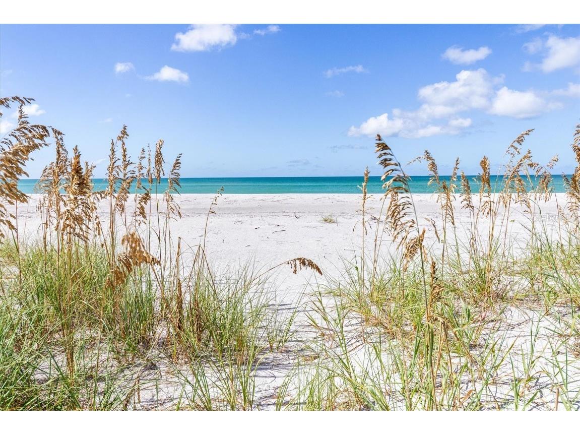 9498 Alborado Road Placida FL 33946 - GULF OF MEXICO D5915556 image58