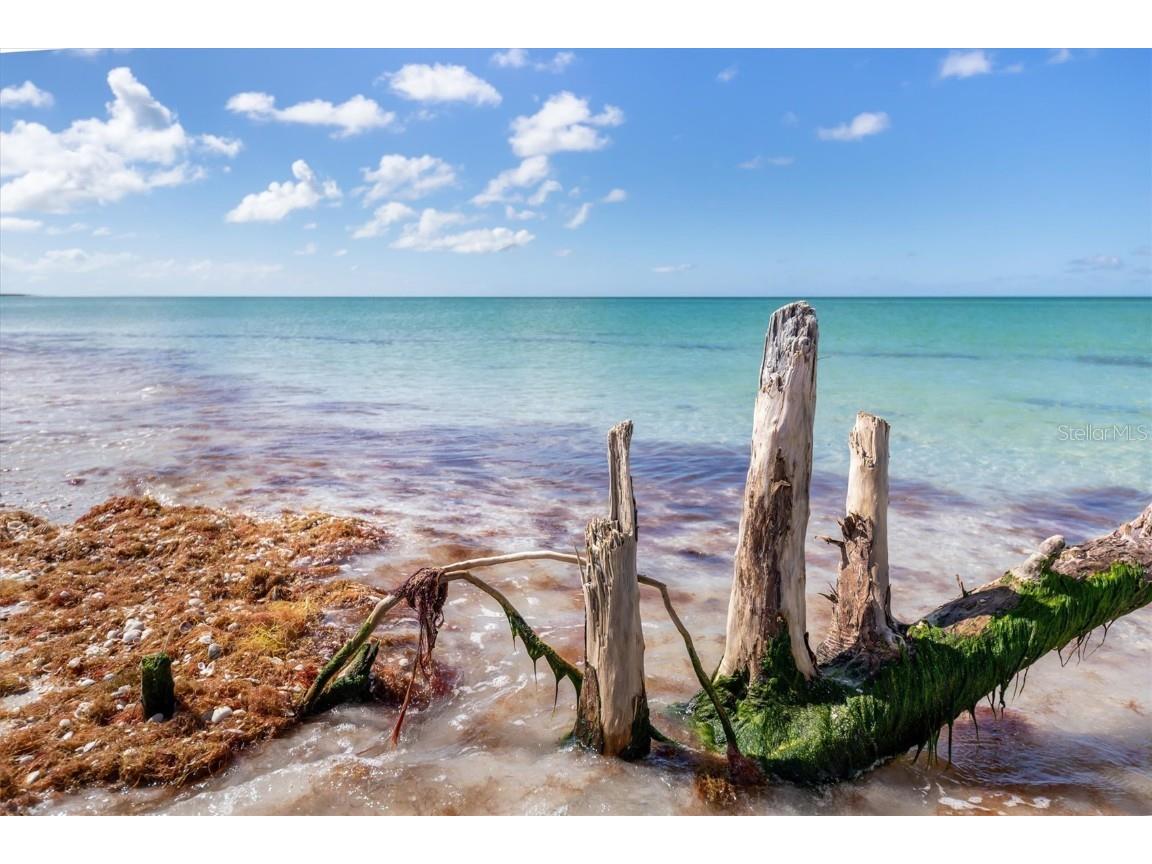 9498 Alborado Road Placida FL 33946 - GULF OF MEXICO D5915556 image59