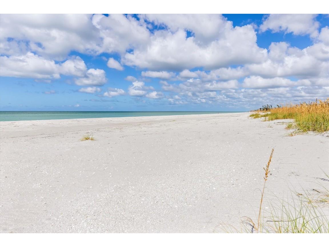 9498 Alborado Road Placida FL 33946 - GULF OF MEXICO D5915556 image60