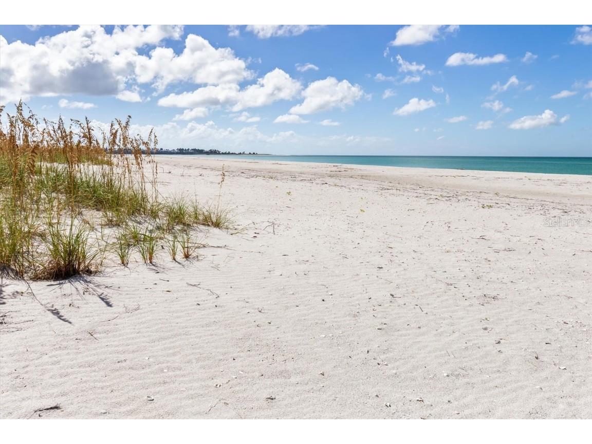 9498 Alborado Road Placida FL 33946 - GULF OF MEXICO D5915556 image61