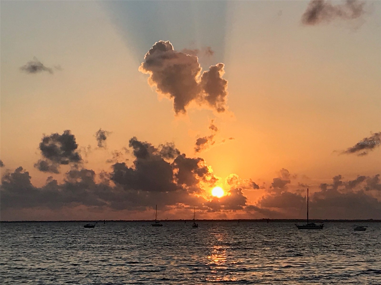 95 N Marion Court #135 Punta Gorda FL 33950 C7520770 image33