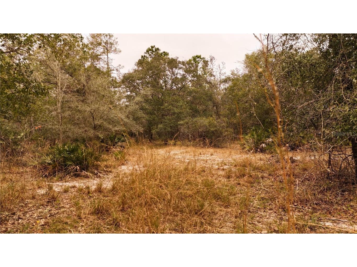 95 Pinto Lane Ormond Beach FL 32174 FC306416 image10