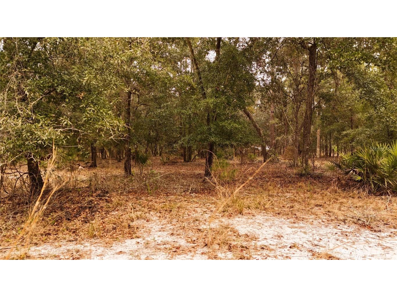 95 Pinto Lane Ormond Beach FL 32174 FC306416 image11