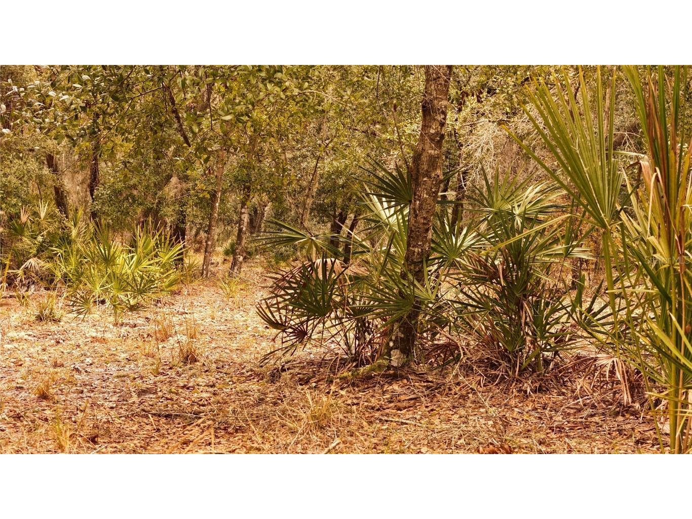 95 Pinto Lane Ormond Beach FL 32174 FC306416 image12