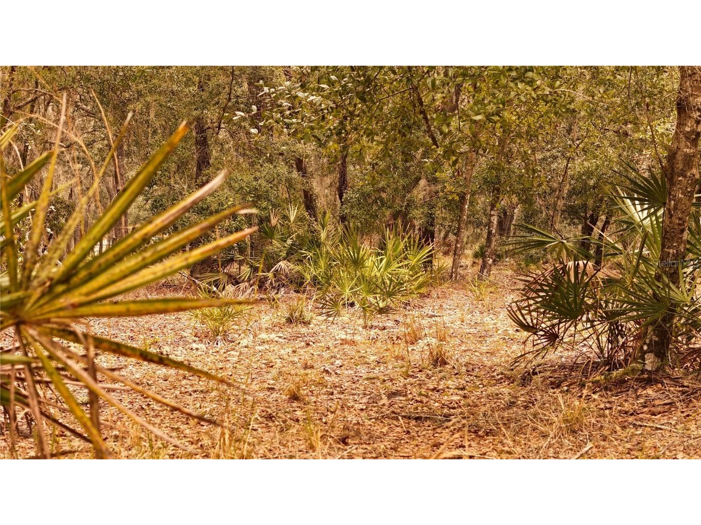 95 Pinto Lane Ormond Beach FL 32174 FC306416 image13