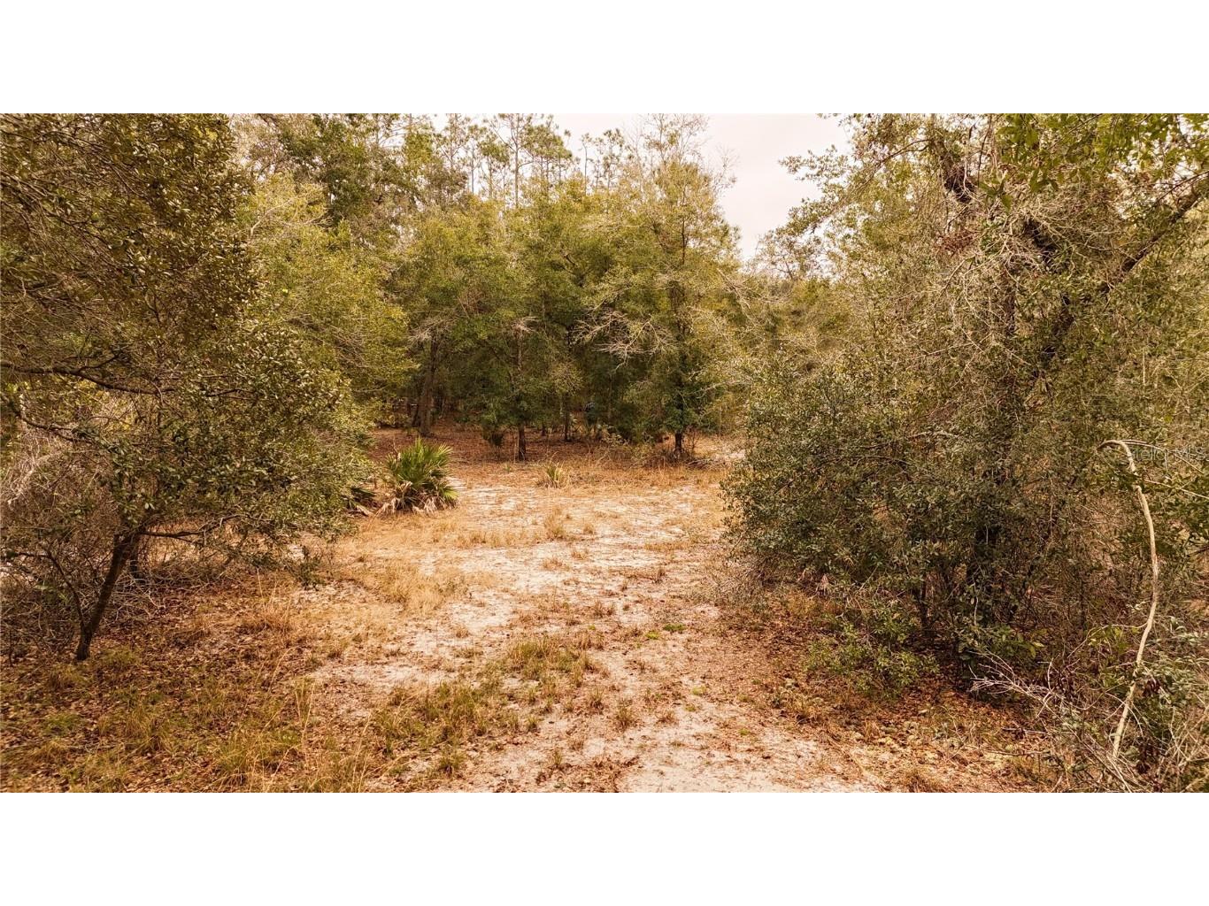 95 Pinto Lane Ormond Beach FL 32174 FC306416 image14