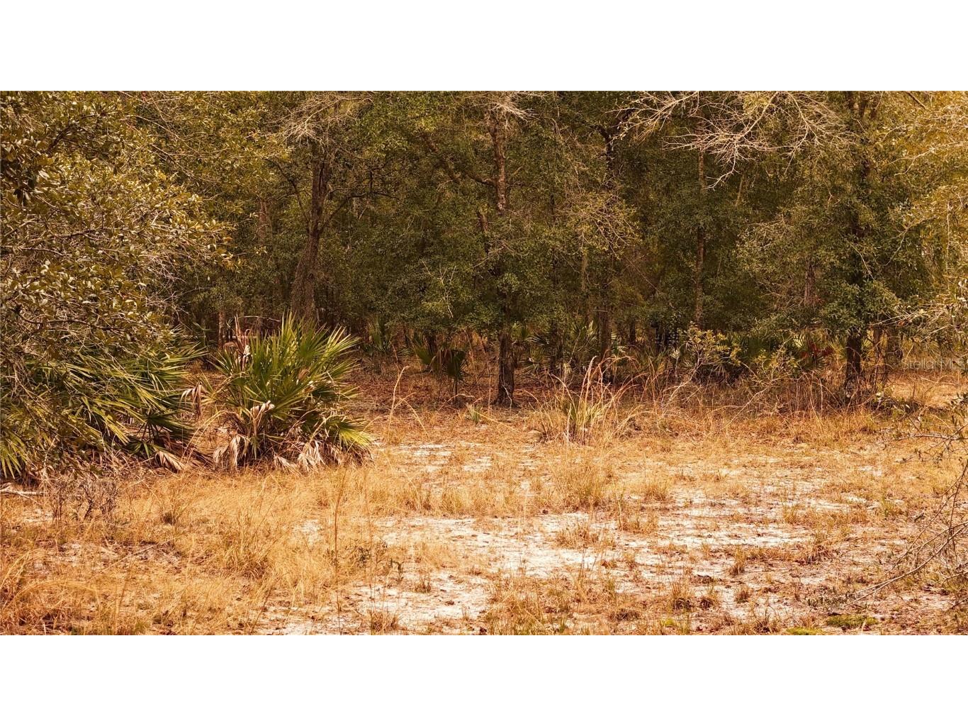 95 Pinto Lane Ormond Beach FL 32174 FC306416 image15