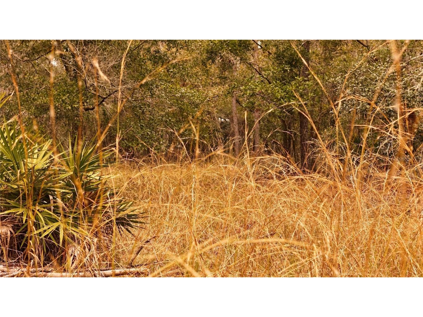 95 Pinto Lane Ormond Beach FL 32174 FC306416 image16