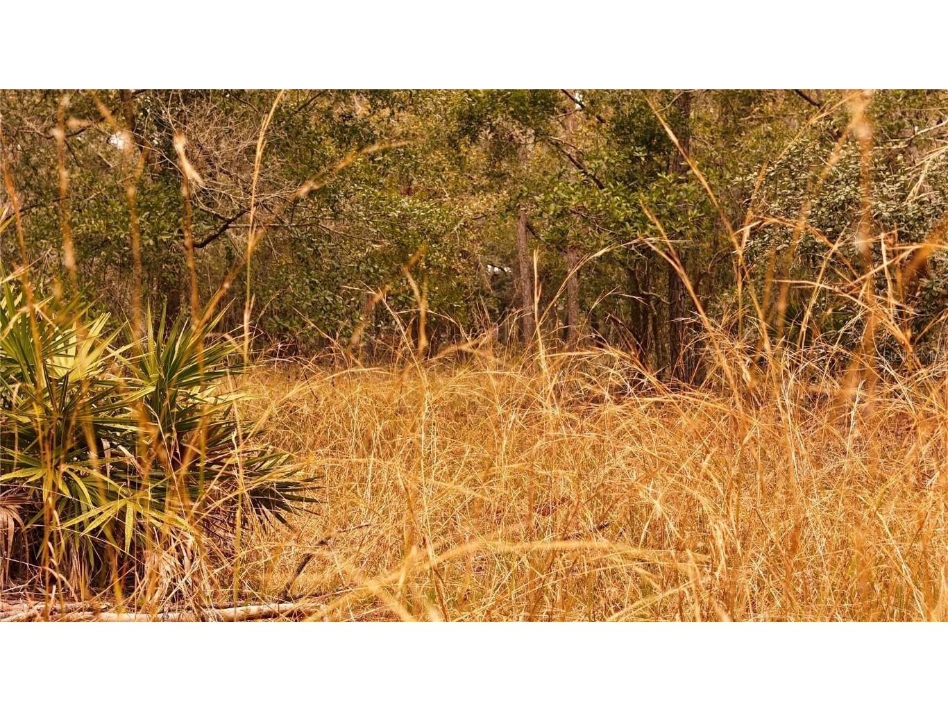 95 Pinto Lane Ormond Beach FL 32174 FC306416 image17