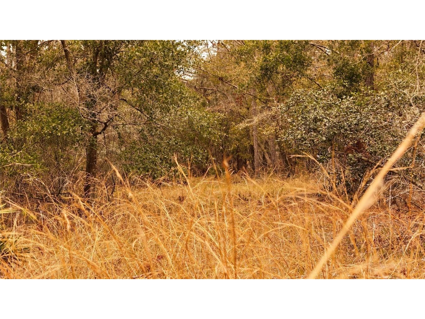 95 Pinto Lane Ormond Beach FL 32174 FC306416 image18