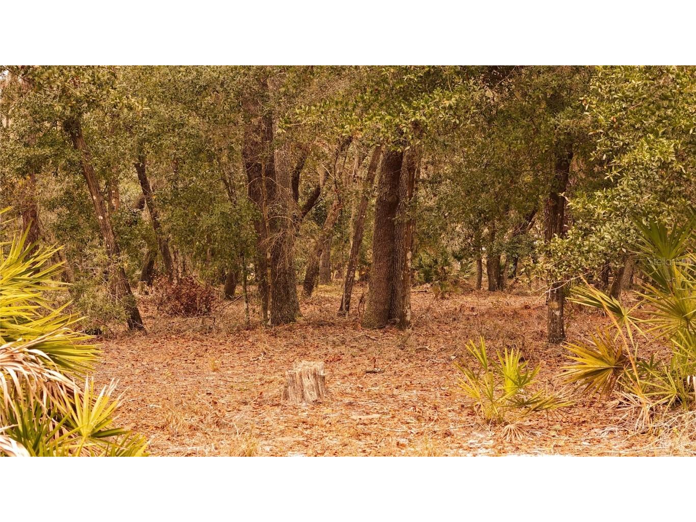 95 Pinto Lane Ormond Beach FL 32174 FC306416 image19