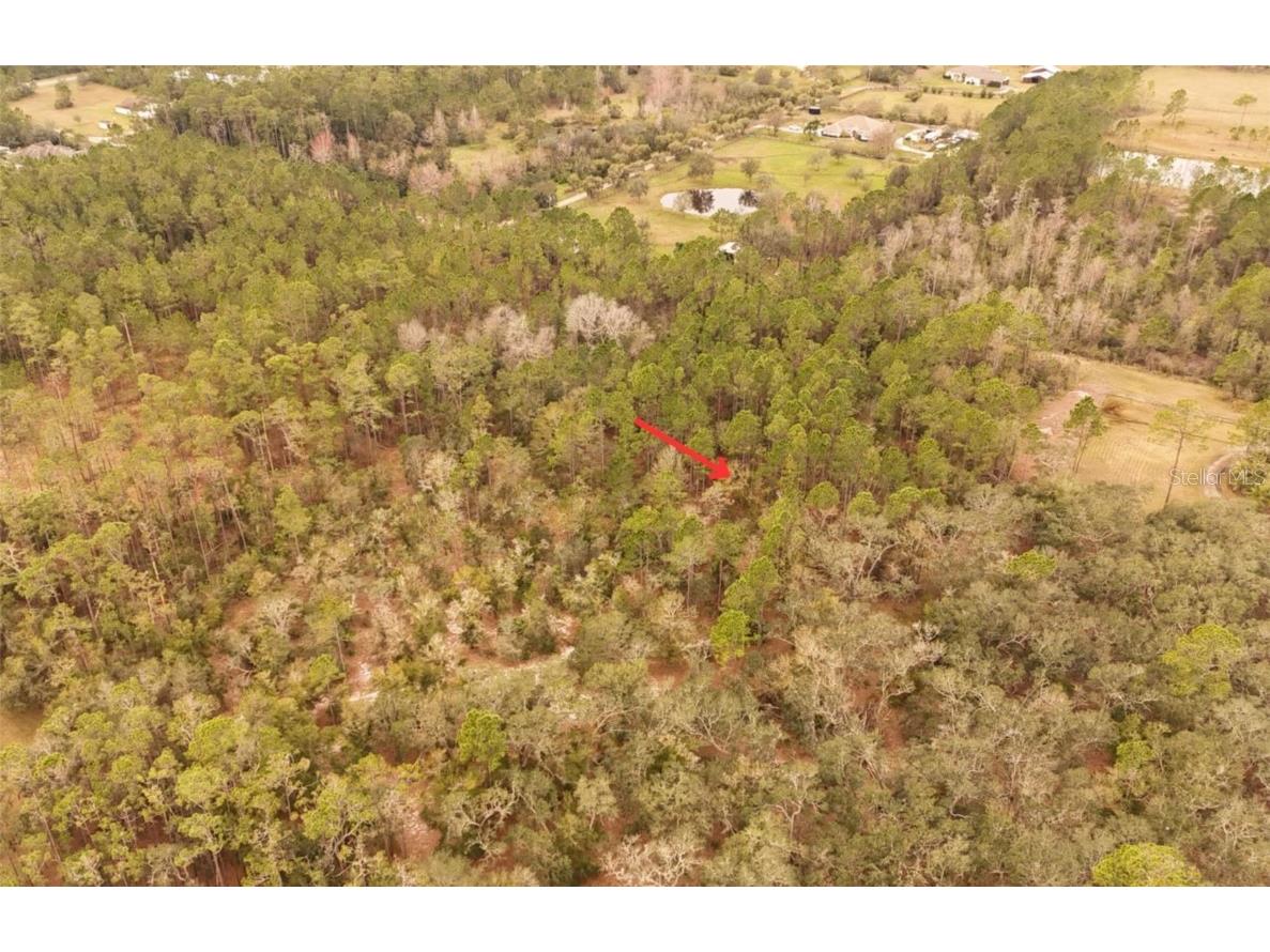 95 Pinto Lane Ormond Beach FL 32174 FC306416 image2