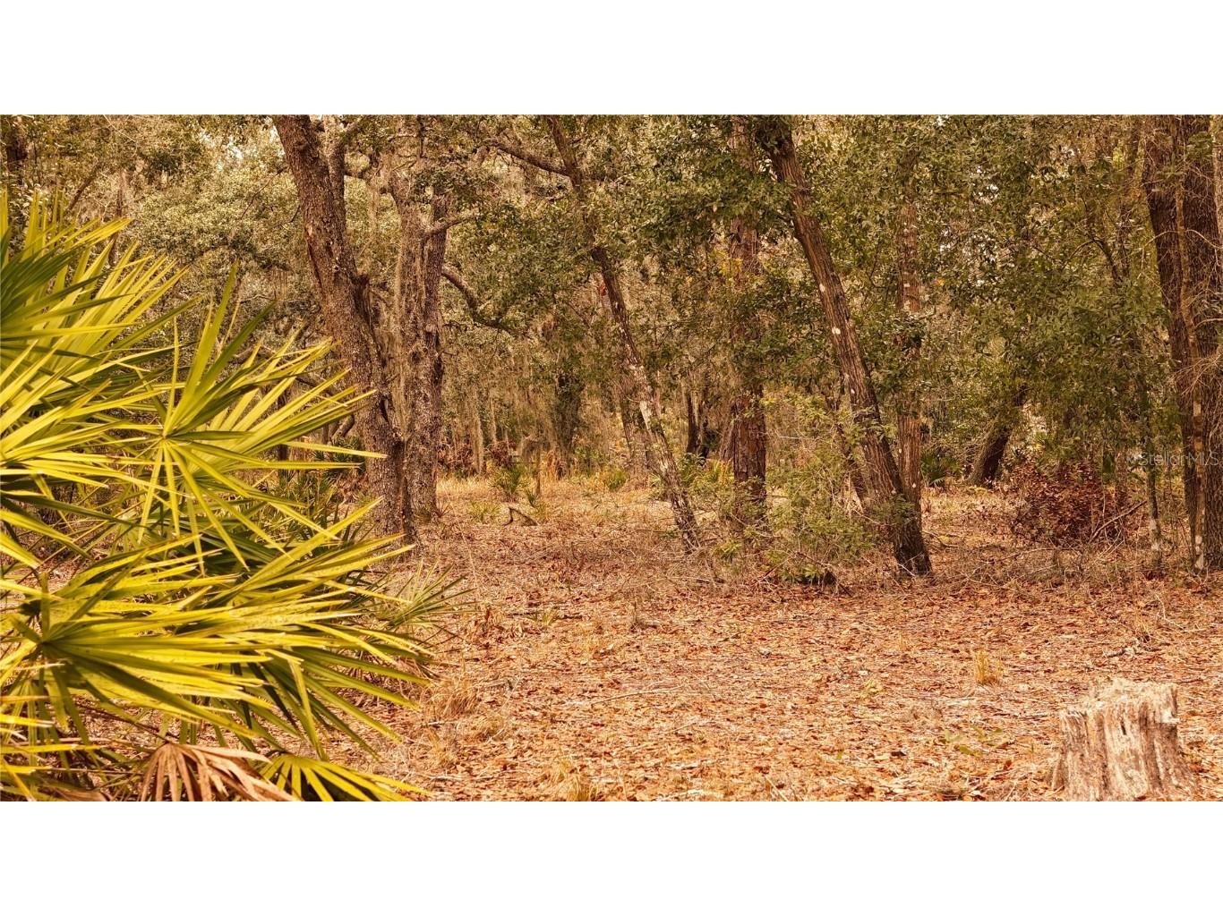 95 Pinto Lane Ormond Beach FL 32174 FC306416 image20