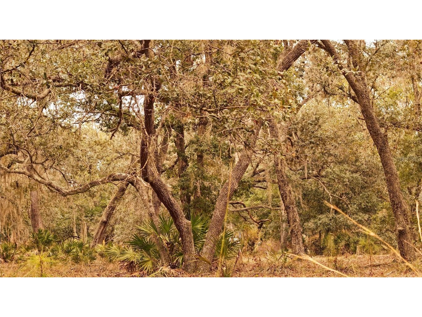 95 Pinto Lane Ormond Beach FL 32174 FC306416 image21