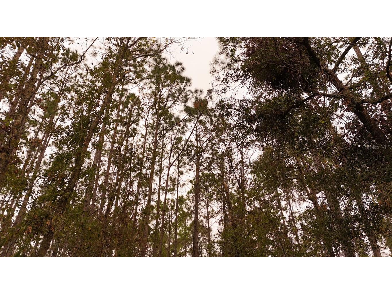 95 Pinto Lane Ormond Beach FL 32174 FC306416 image22