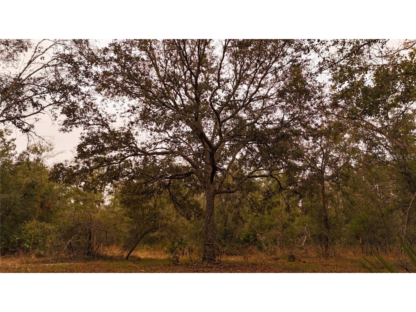 95 Pinto Lane Ormond Beach FL 32174 FC306416 image23