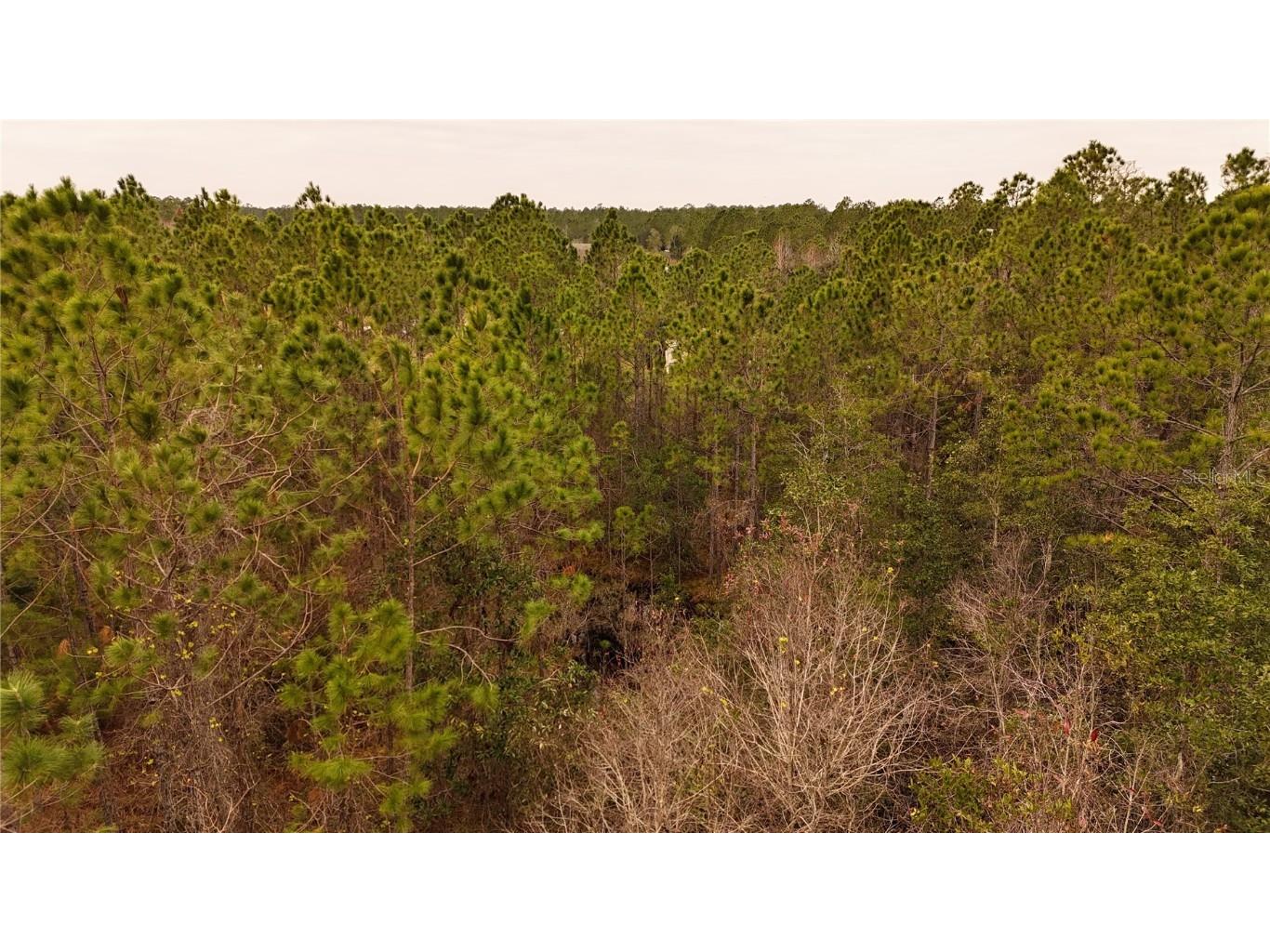 95 Pinto Lane Ormond Beach FL 32174 FC306416 image24