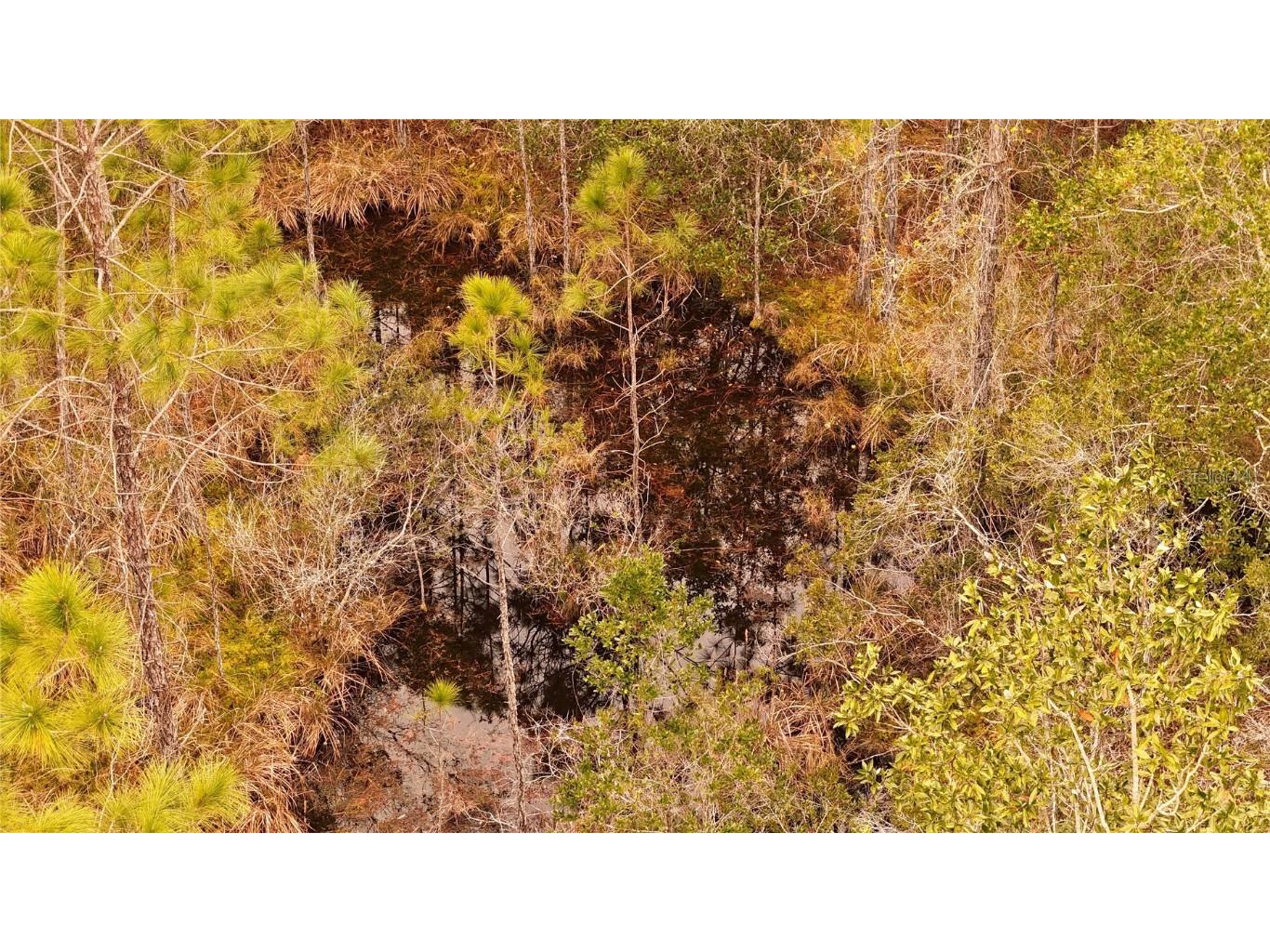 95 Pinto Lane Ormond Beach FL 32174 FC306416 image25