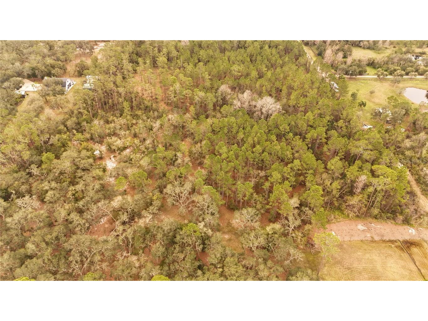 95 Pinto Lane Ormond Beach FL 32174 FC306416 image3