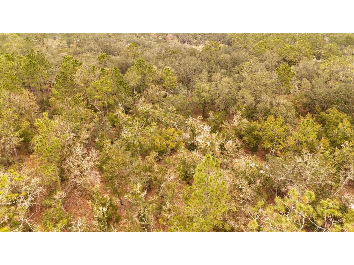 95 Pinto Lane Ormond Beach FL 32174 FC306416 image5