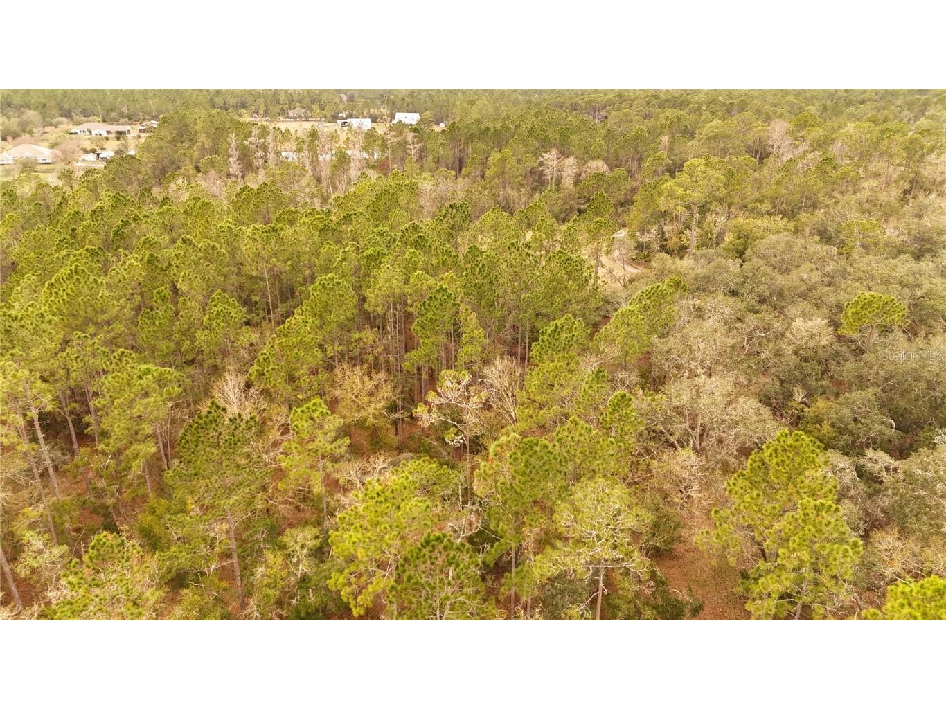 95 Pinto Lane Ormond Beach FL 32174 FC306416 image6