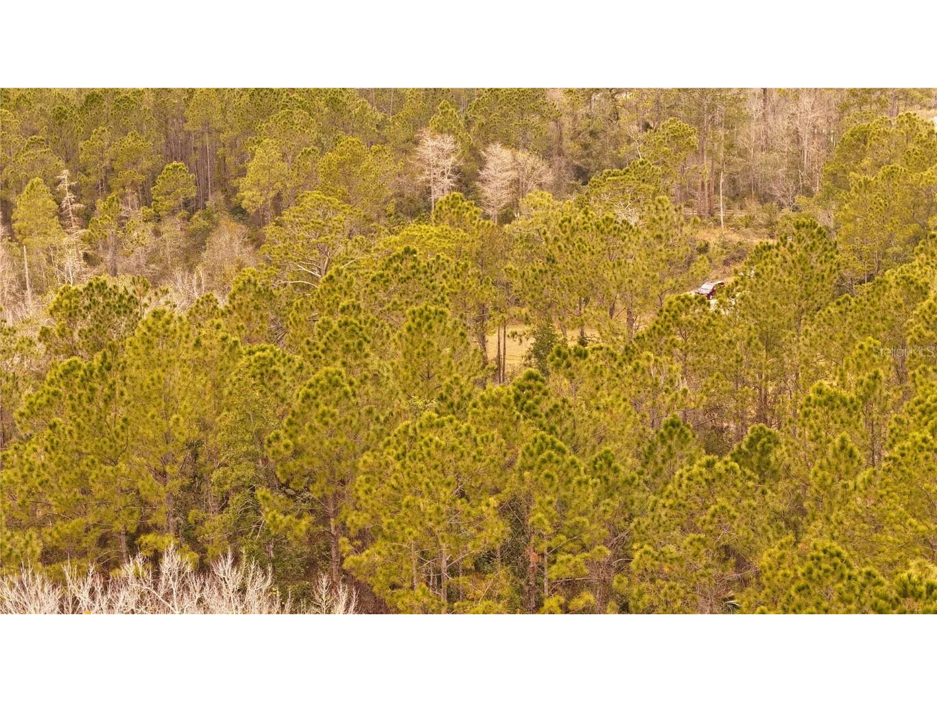 95 Pinto Lane Ormond Beach FL 32174 FC306416 image7