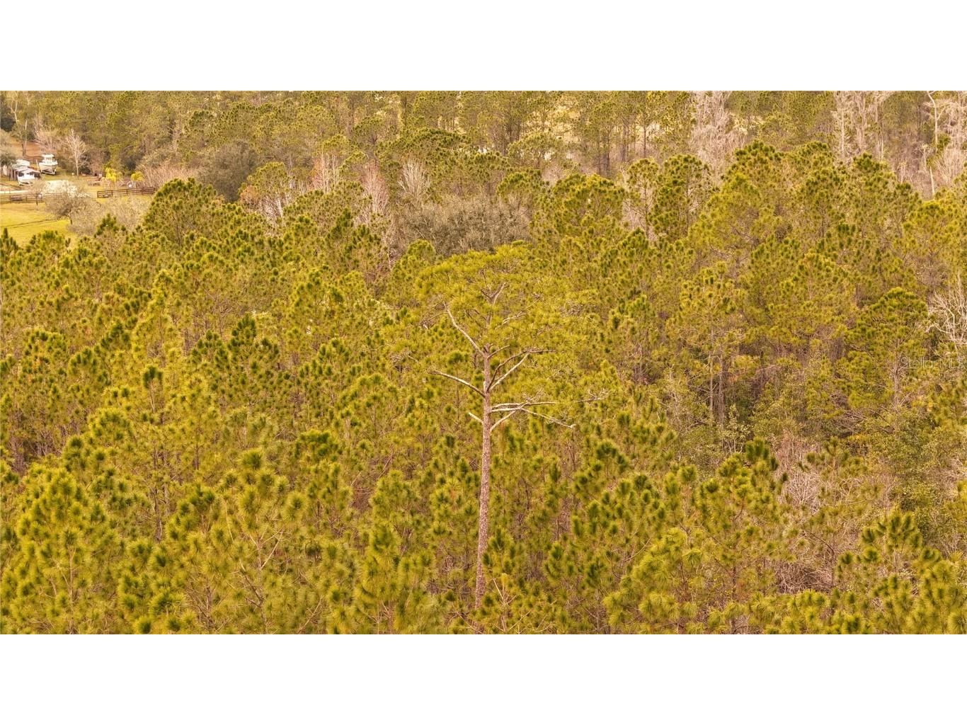 95 Pinto Lane Ormond Beach FL 32174 FC306416 image8