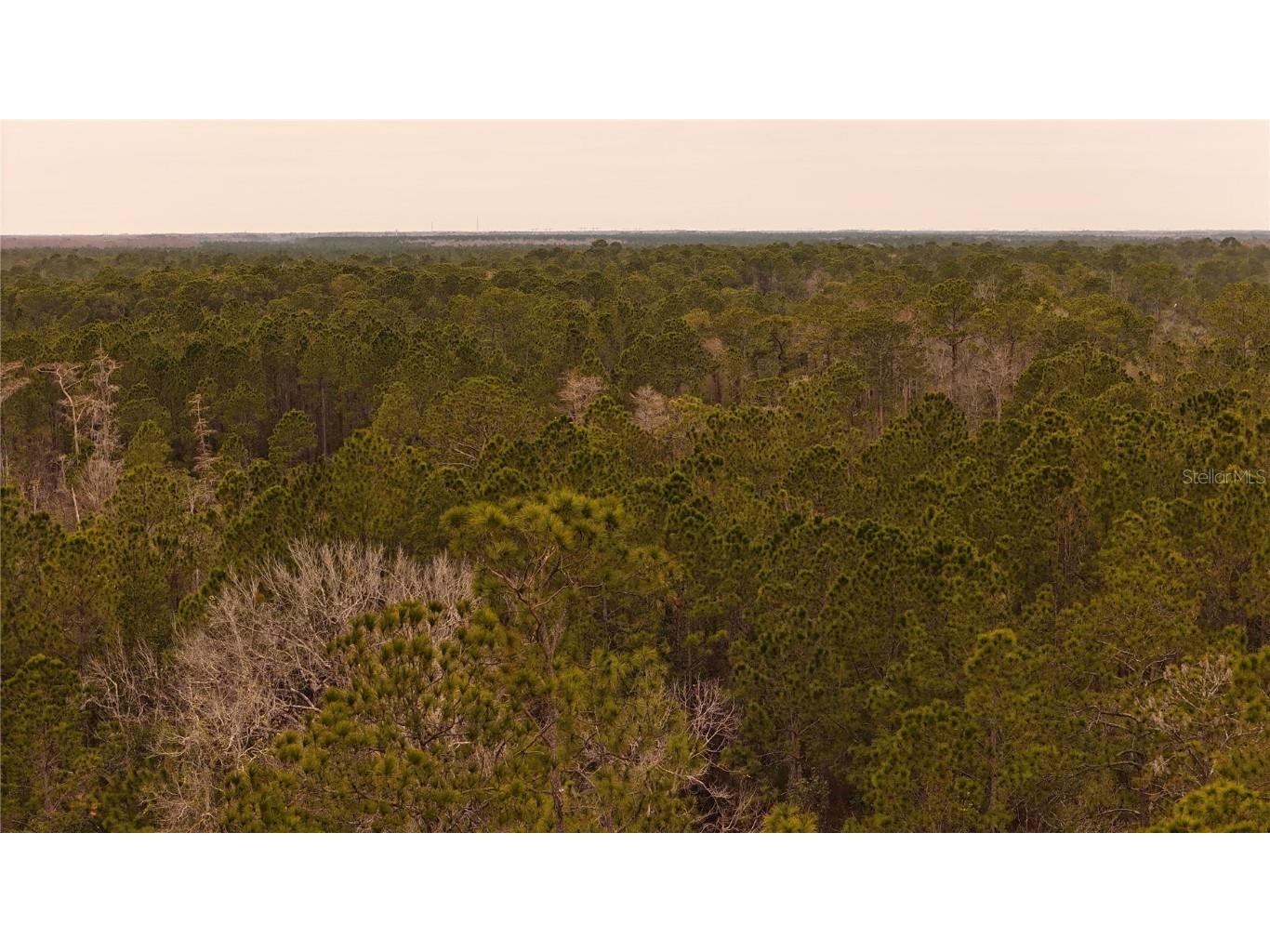 95 Pinto Lane Ormond Beach FL 32174 FC306416 image9