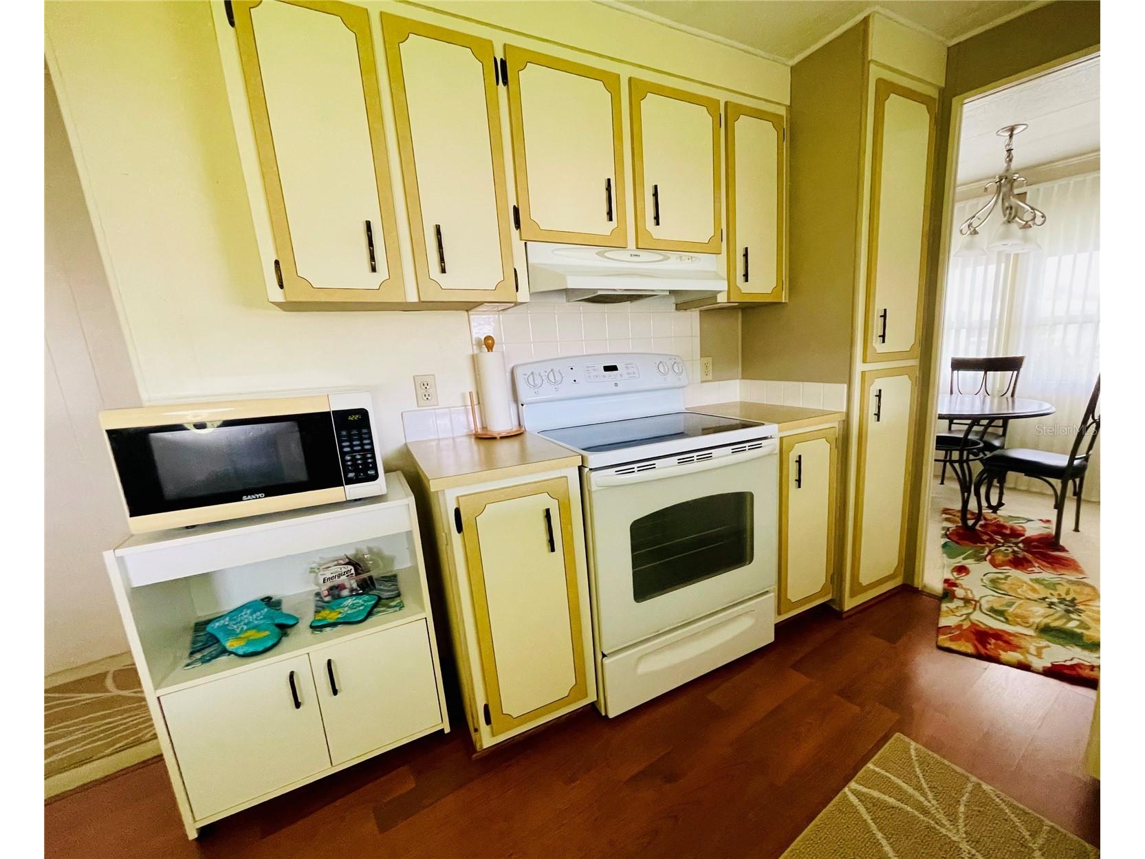95 Red Oak Drive Palm Harbor FL 34684 TB8505670 image5