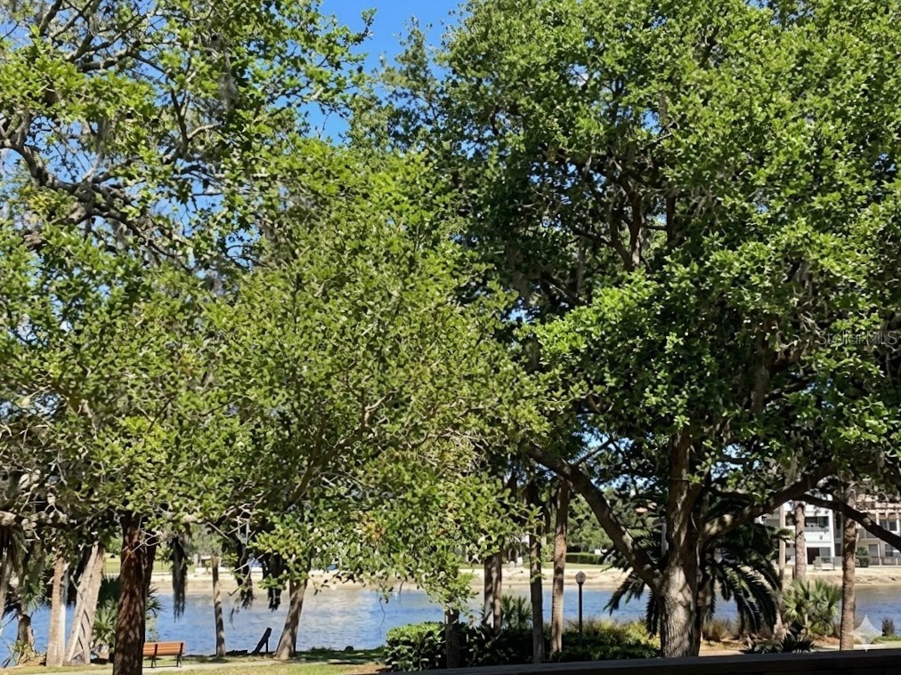 95 Rivers Edge Lane #95 Palm Coast FL 32137 - INTRACOASTAL WATERWAY FC315834 image1
