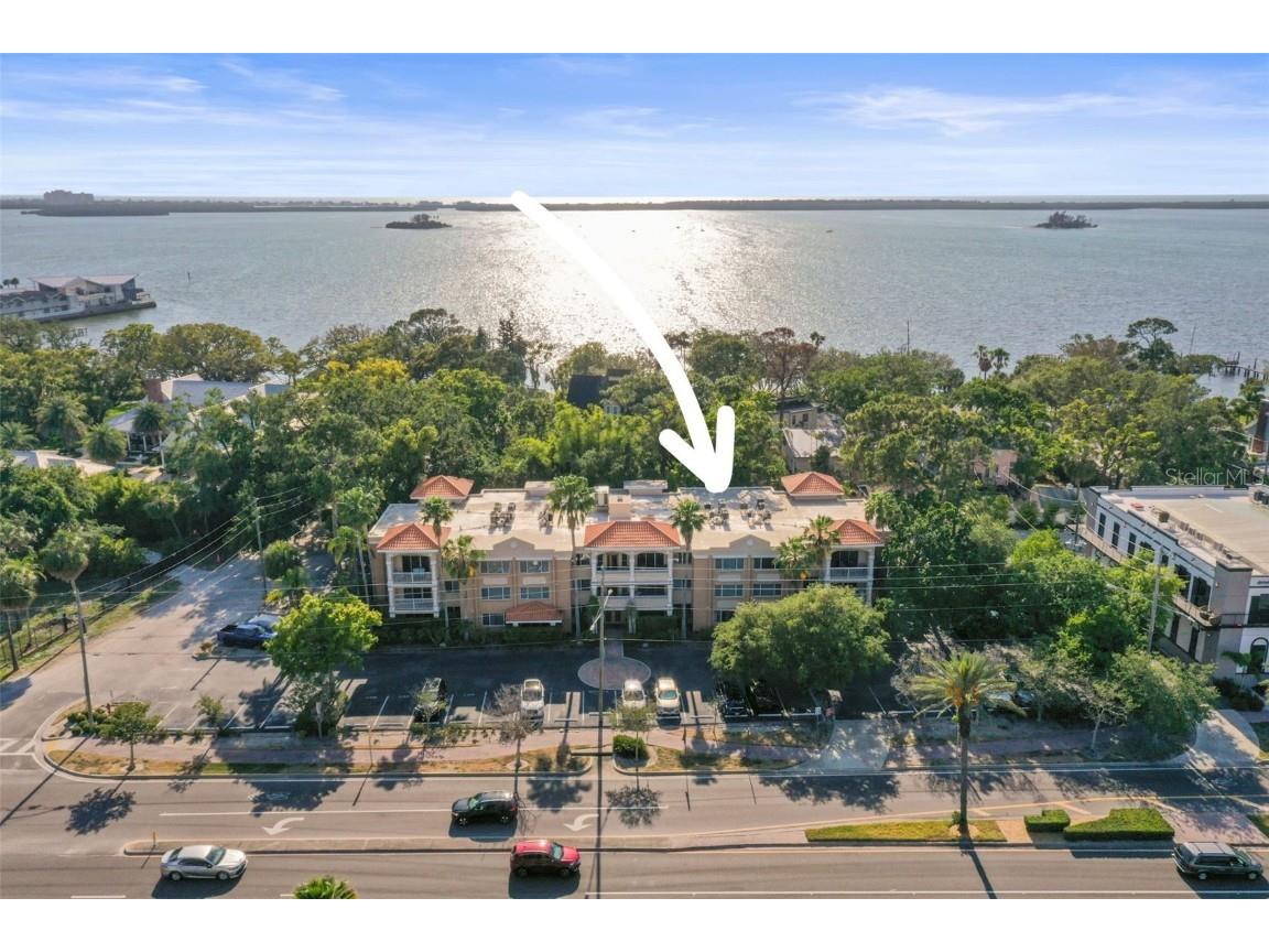950 Broadway #103 Dunedin FL 34698 TB8381870 image1