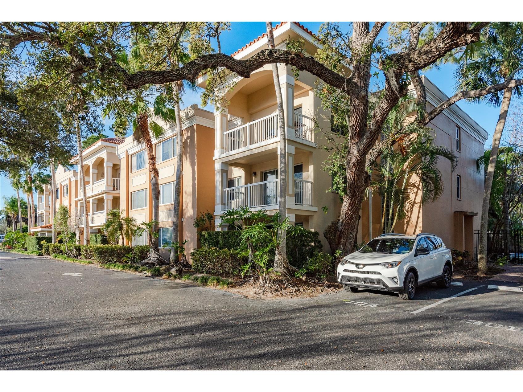 950 Broadway #103 Dunedin FL 34698 TB8486858 image10